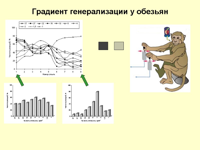 Градиент генерализации у обезьян